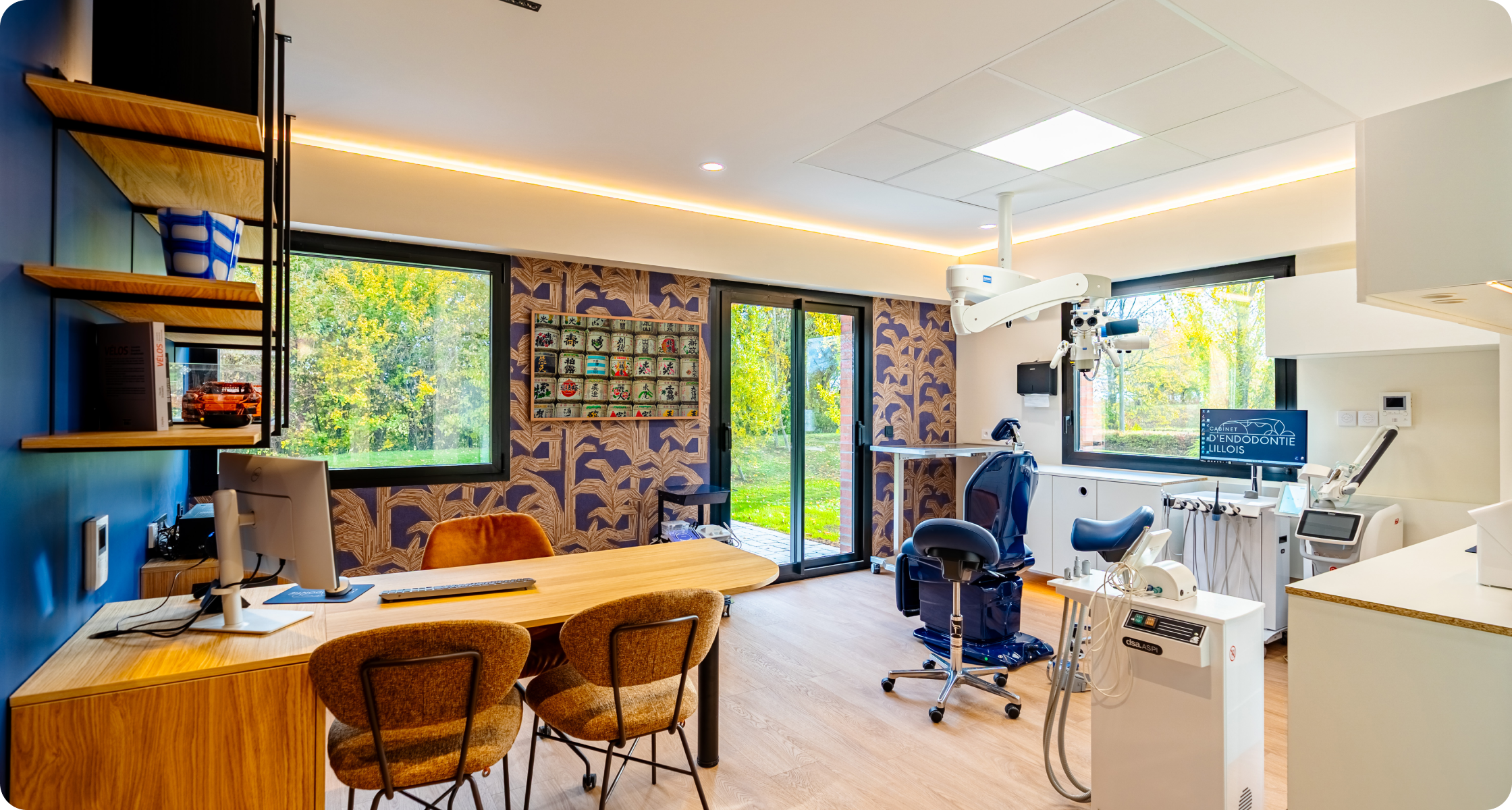 villeneuve-d-ascq-traitement-racine